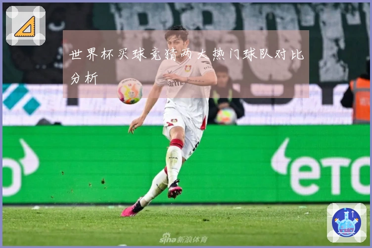 世界杯买球竞猜两大热门球队对比分析