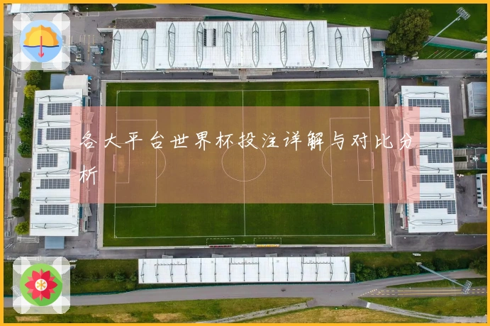 各大平台世界杯投注详解与对比分析