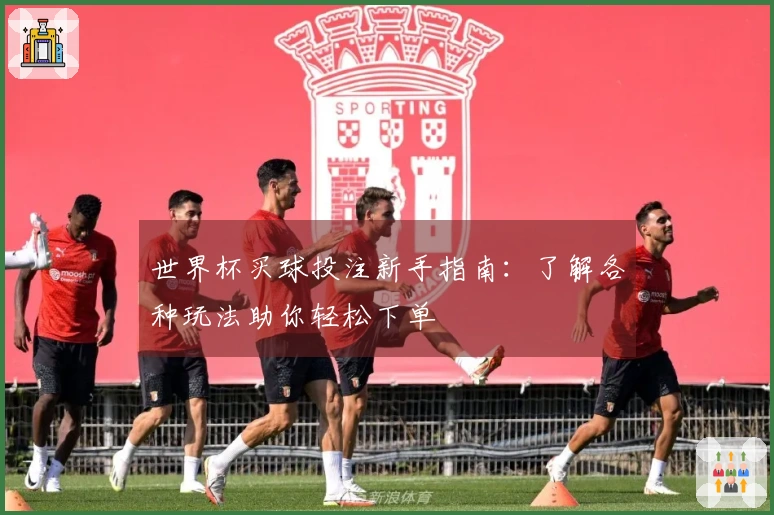 世界杯买球投注新手指南：了解各种玩法助你轻松下单