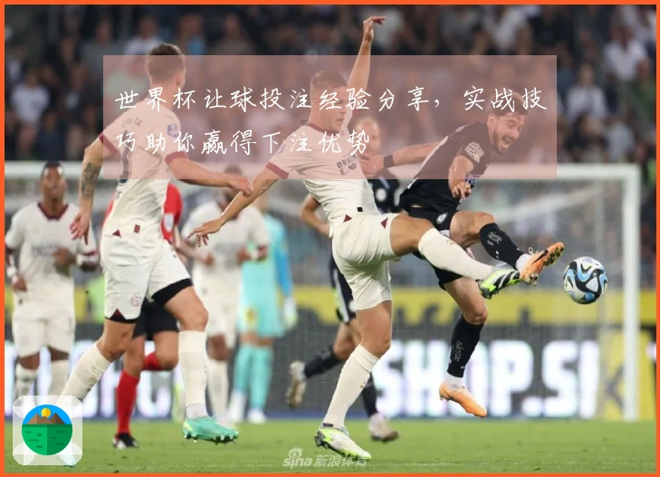 世界杯让球投注经验分享，实战技巧助你赢得下注优势