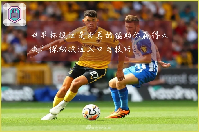 世界杯投注是否真的能助你赢得大奖？探秘投注入口与技巧