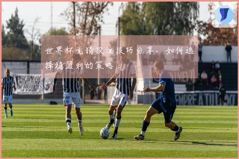 世界杯竞猜投注技巧分享，如何选择稳盈利的策略