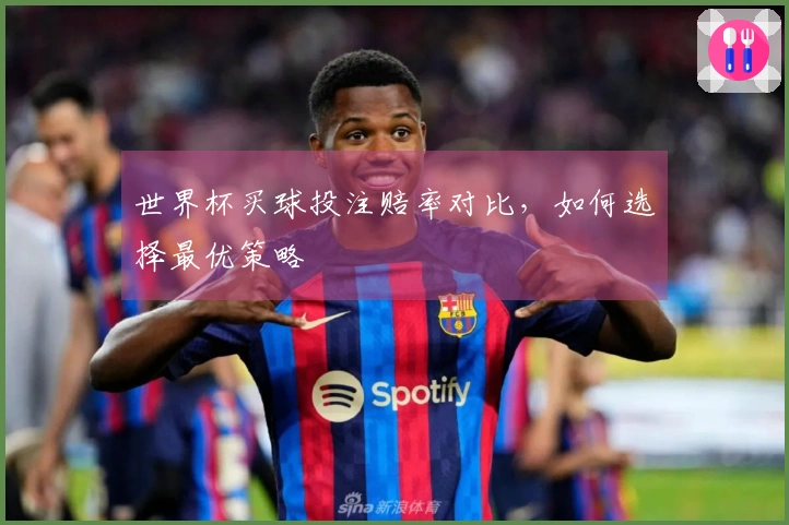 世界杯买球投注赔率对比，如何选择最优策略