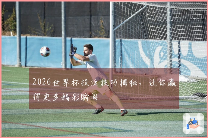 2026世界杯投注技巧揭秘，让你赢得更多精彩瞬间