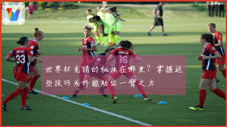 世界杯竞猜的秘诀在哪里？掌握这些技巧或许能助你一臂之力