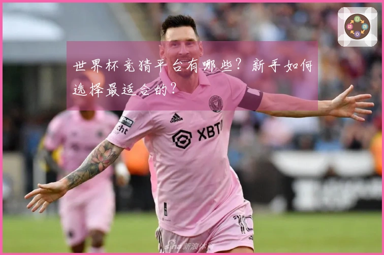 世界杯竞猜平台有哪些？新手如何选择最适合的？