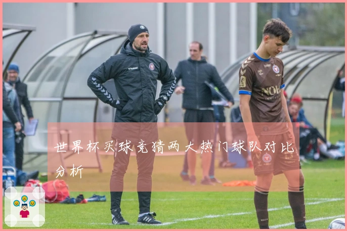世界杯买球竞猜两大热门球队对比分析