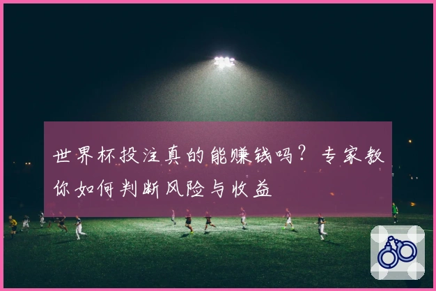 世界杯投注真的能赚钱吗？专家教你如何判断风险与收益