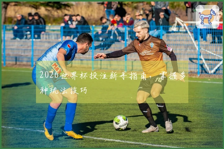 2026世界杯投注新手指南，掌握多种玩法技巧