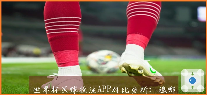 世界杯买球投注APP对比分析：选哪个最靠谱更划算