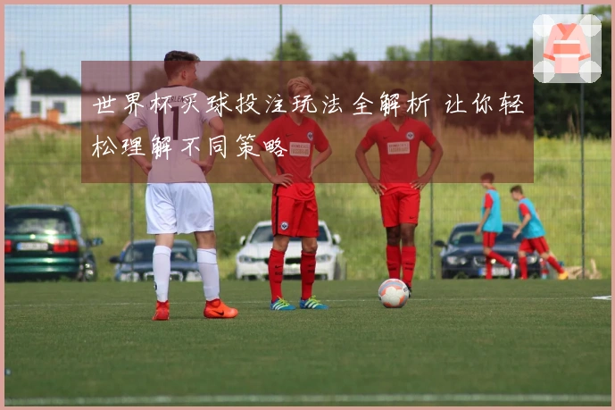 世界杯买球投注玩法全解析 让你轻松理解不同策略