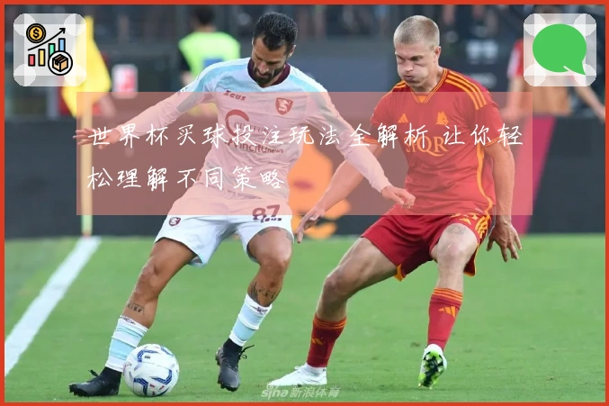 世界杯买球投注玩法全解析 让你轻松理解不同策略